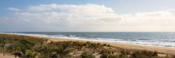 day time view of the beach and ocean