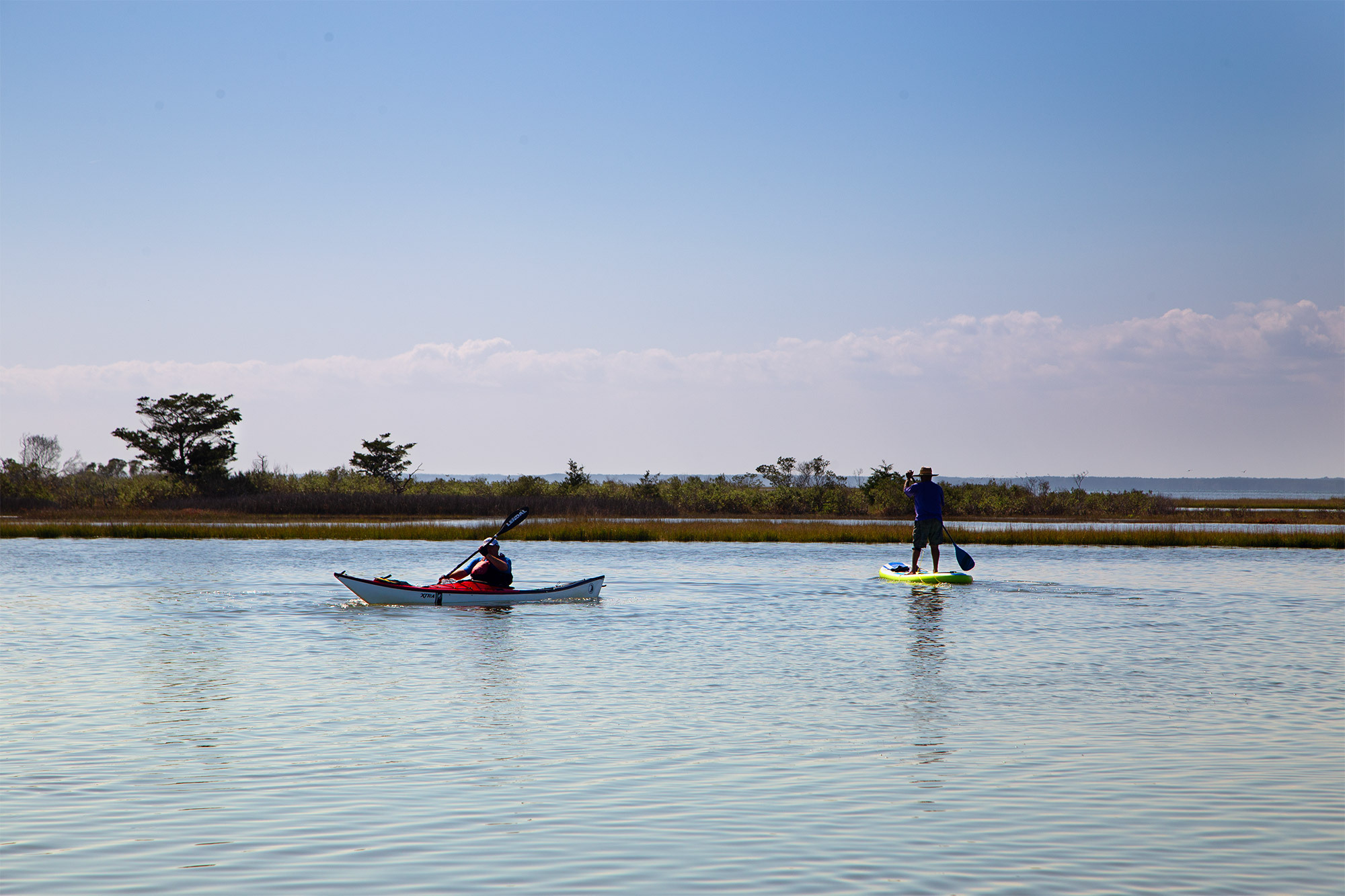 Assateague Island National Seashore: A Natural Jewel on Maryland’s Eastern Shore