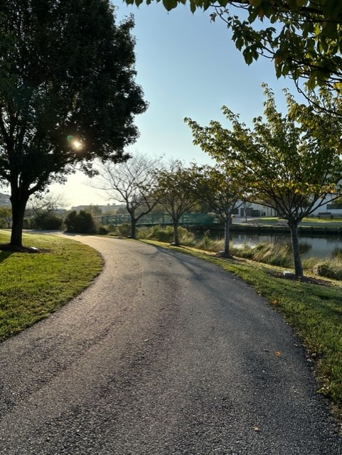 Exploring the Natural Beauty of Northside Park in Ocean City, Maryland
