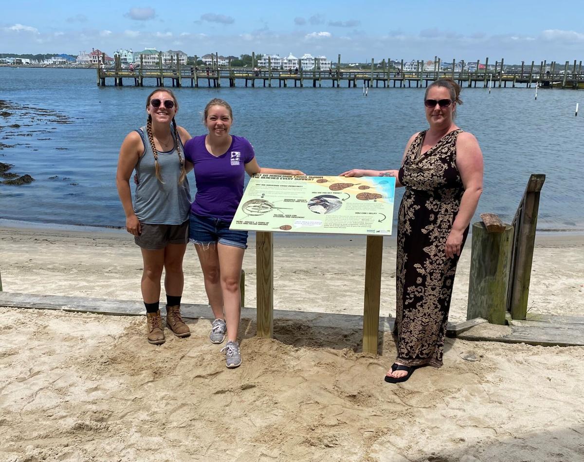 Maryland Coastal Bays Horseshoe Signage
